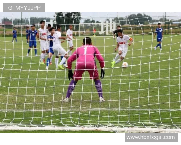 足球明星激情庆祝瞬间壁纸图集尽显运动魅力与热血沸腾的赛场氛围