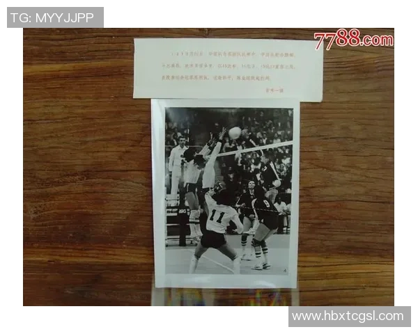 上海排球队在世界锦标赛中的战术表现分析与点评