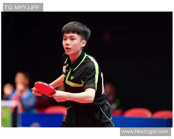 杭州乒乓球队在奥运会上的节奏表现与战术分析及未来发展展望