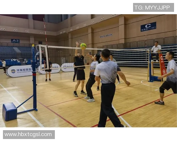 深圳排球队灵活性变革引发热议探讨排球新战术与团队协作模式