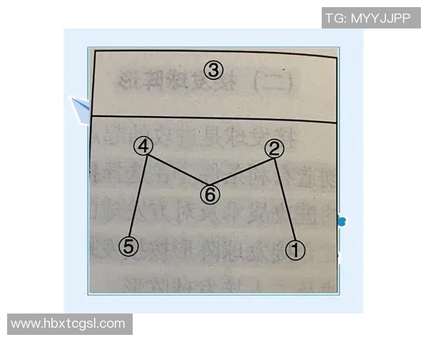 排球新手必看:从基础到战术的全面入门指南与技巧分享 排球新手必看:从基础到战术的全面入门指南与技巧分享