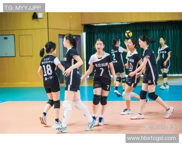 南京排球队的逆袭之路：从默默无闻到荣耀巅峰的奋斗纪实